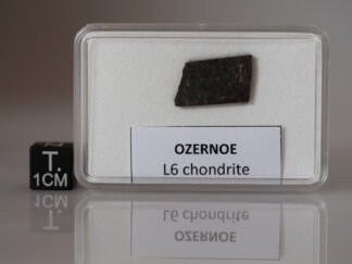 Ozernoe (L6) - 1.22g part slice
