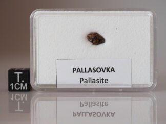 Pallasovka (pallasite) - fragment nr 21