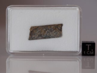 Peekskill (H6) - 1.016g part slice