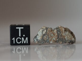 Peekskill (H6) - 2.839g fragment