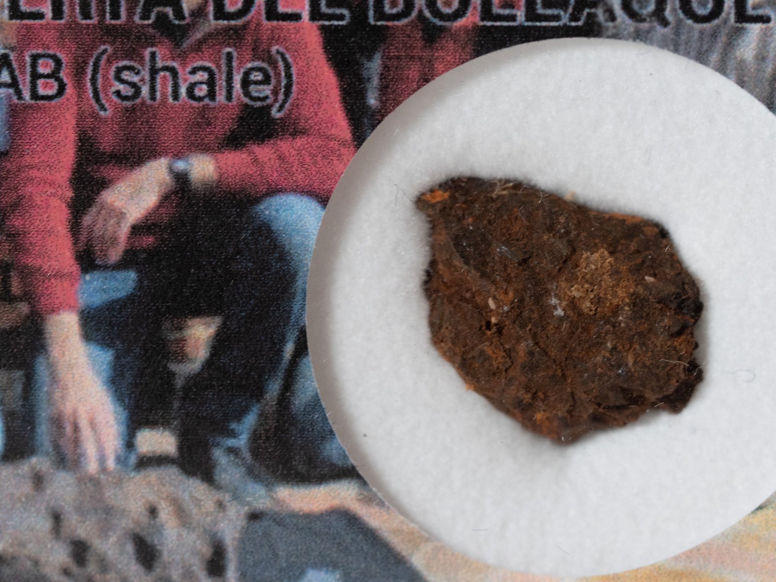 Retuerta del Bullaque (IAB) - 1.75g shale fragment - Image 2