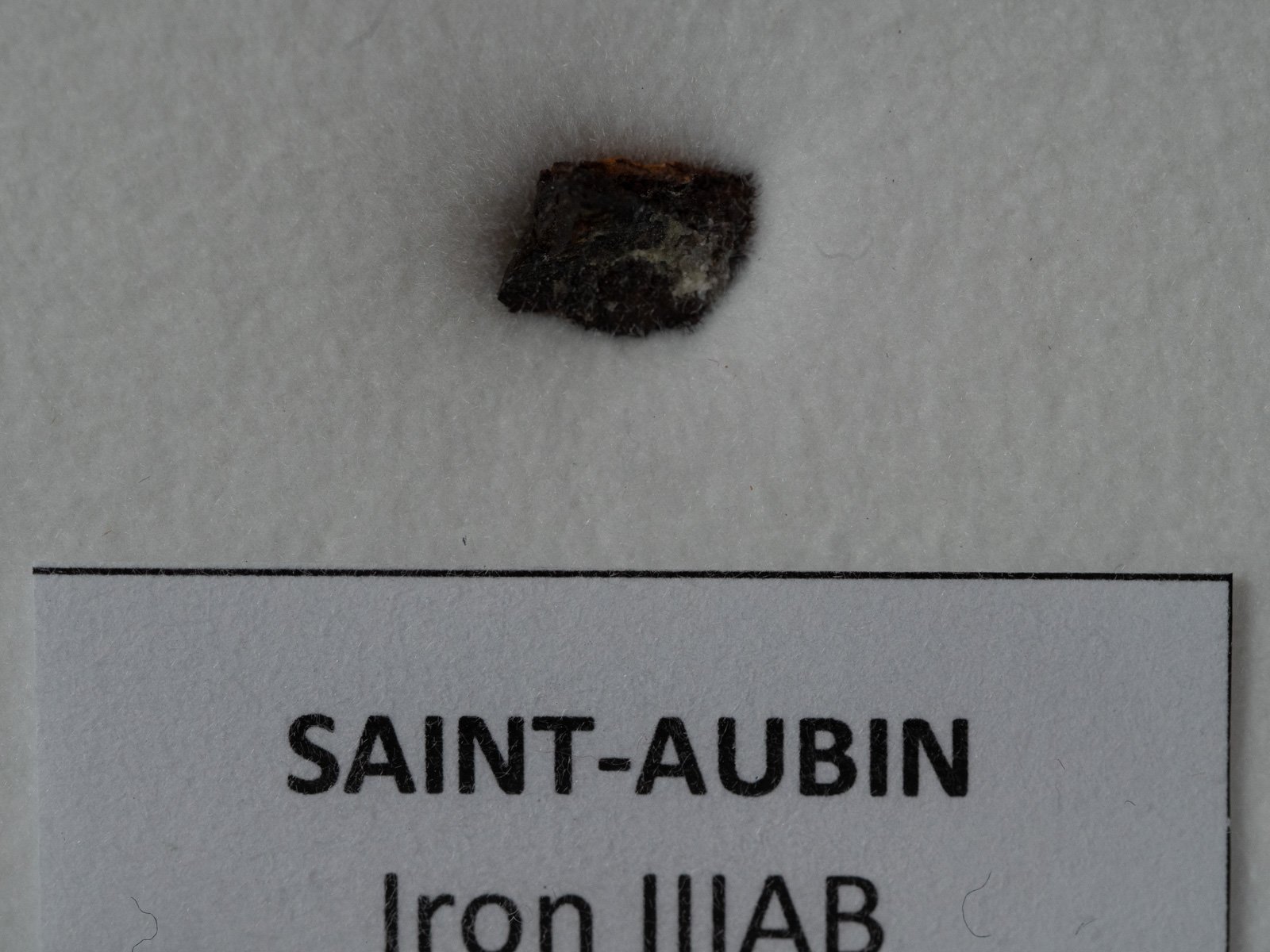 Saint-Aubin - shale fragment nr 21 - Image 2
