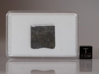 Saint-Séverin (LL6) - 0.937g part slice