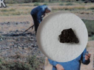 Saricicek (howardite) - 0.082 g fragment with crust