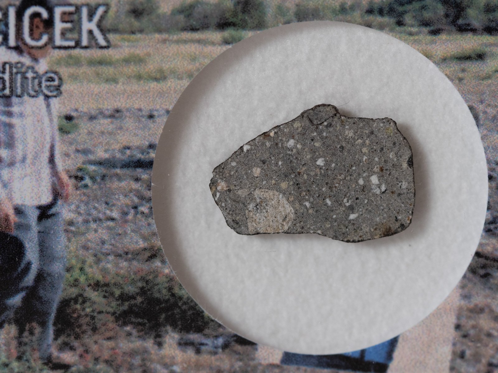 Saricicek (howardite) - 0.453g slice - Image 2