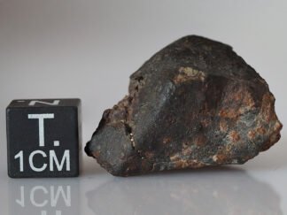 SAU 001 (L5) - 15.23g specimen