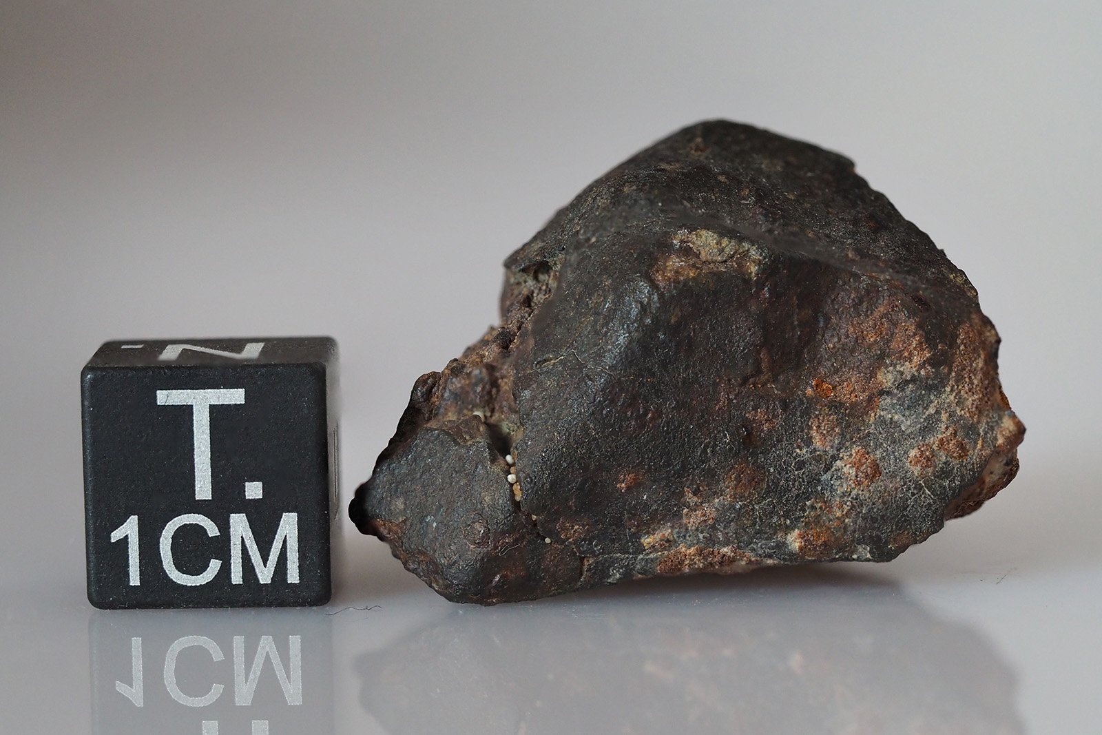 SAU 001 (L5) - 15.23g specimen