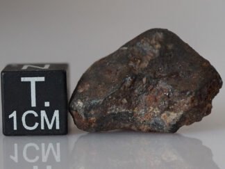 SAU 001 (L5) - 8.23g specimen