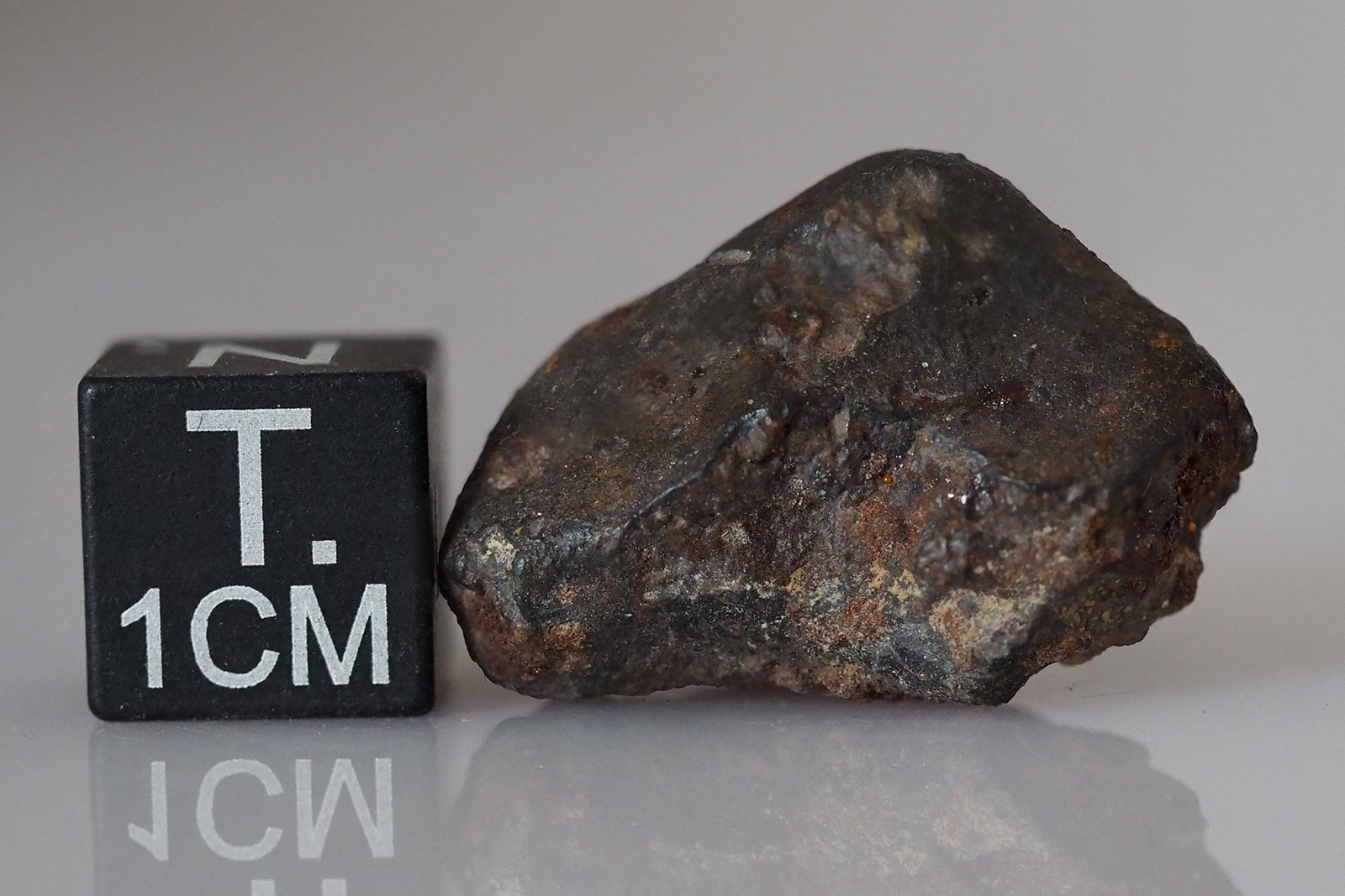 SAU 001 (L5) - 8.23g specimen