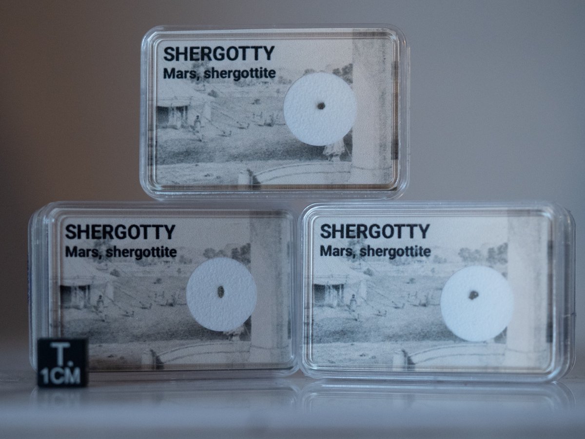 Shergotty (shergottite) - fragment