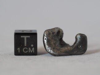 Sikhote-Alin (IIAB) - 6.8g specimen