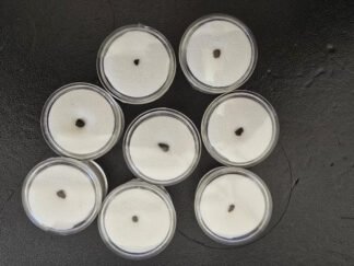 Tagish Lake (C2 ungrouped) - fragment