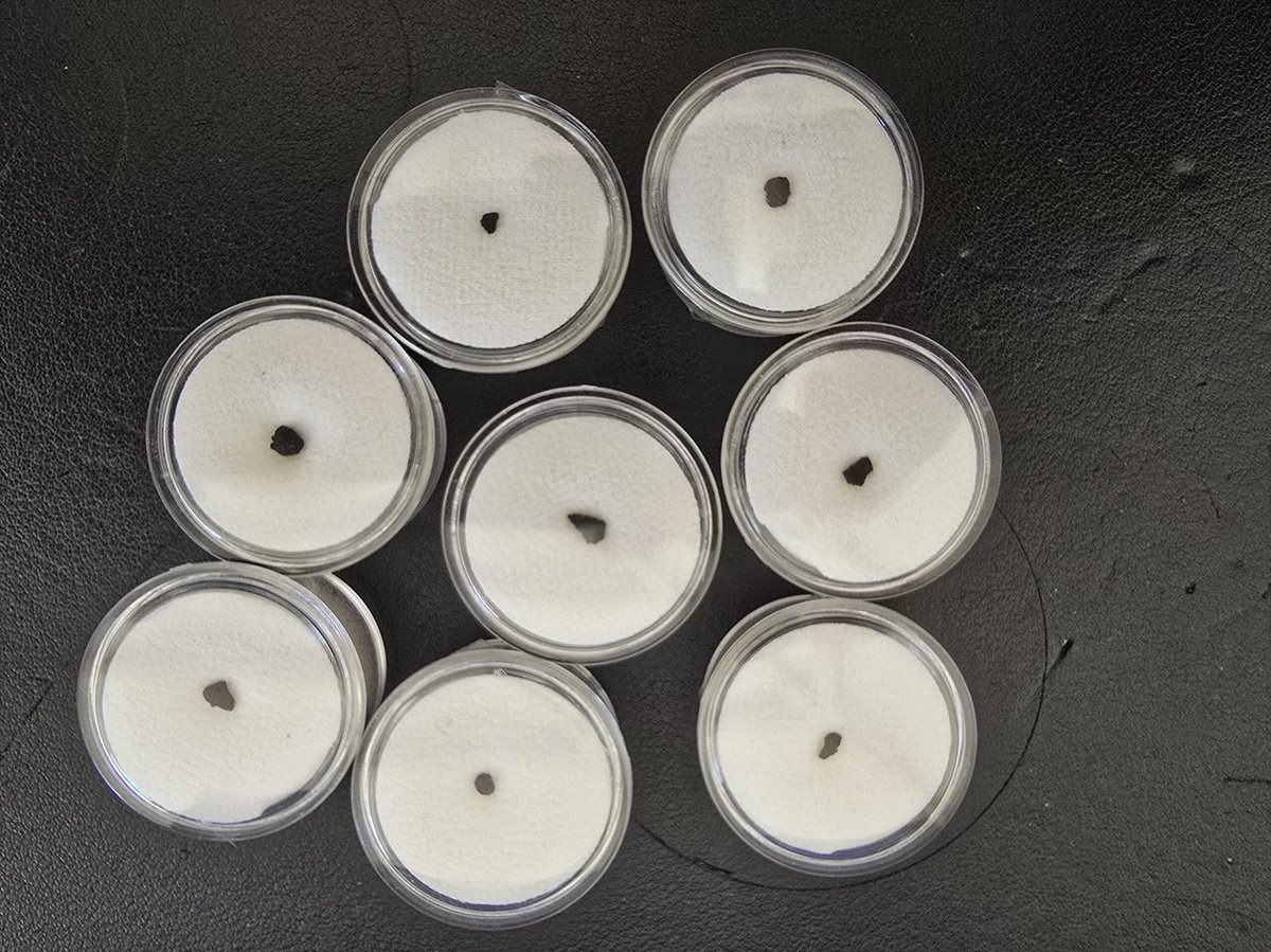 Tagish Lake (C2 ungrouped) - fragment