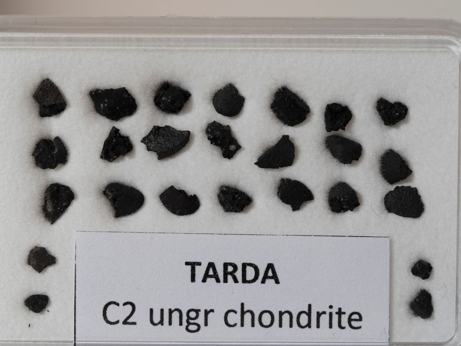 Tarda (C2 ungrouped) - 0.5g of fragments - Image 2