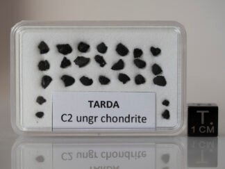 Tarda (C2 ungrouped) - 0.5g of fragments
