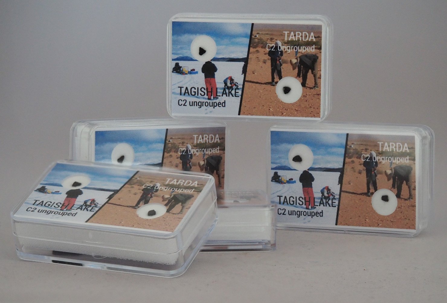 Tagish Lake (C2 ungrouped) + Tarda (C2 ungrouped)