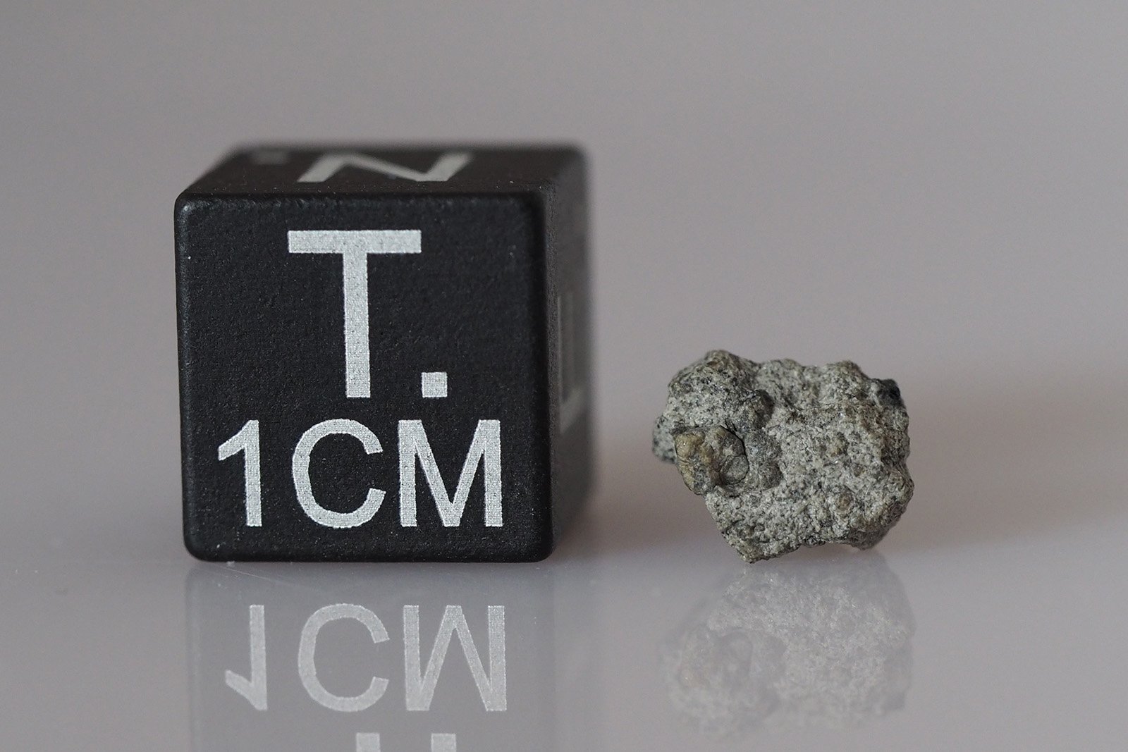 Tissint (shergottite) - 0.252g fragment - Image 2