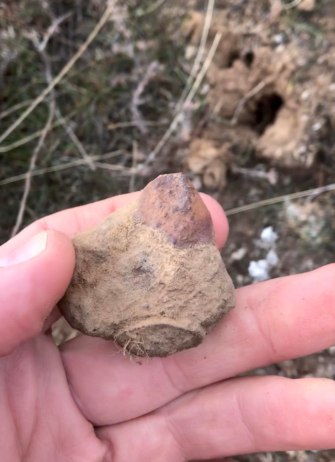 Tsarev (L5) - 148.9g specimen - Image 3