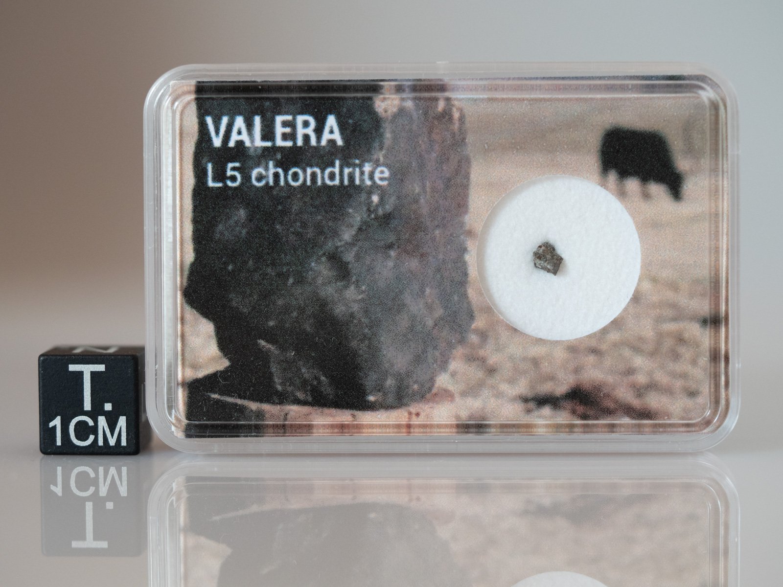 Valera (L5) - fragment nr 2