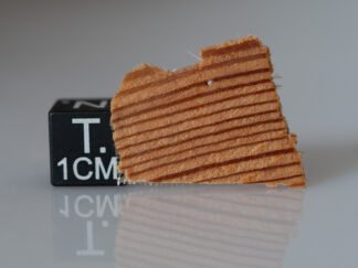 Tunguska wood fragment (nr 34)