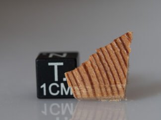 Tunguska wood fragment (nr 35)