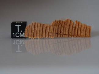 Tunguska wood fragment (nr 38)