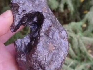 Kaalijarv (IAB) - 920g individual