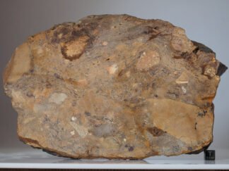 Rochechouart (impactite) - 1550g slice