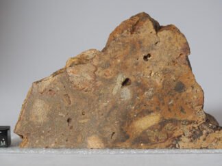 Rochechouart (impactite) - 230g part slice