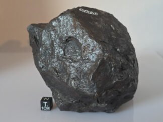 Saint-Aubin - 3800g individual