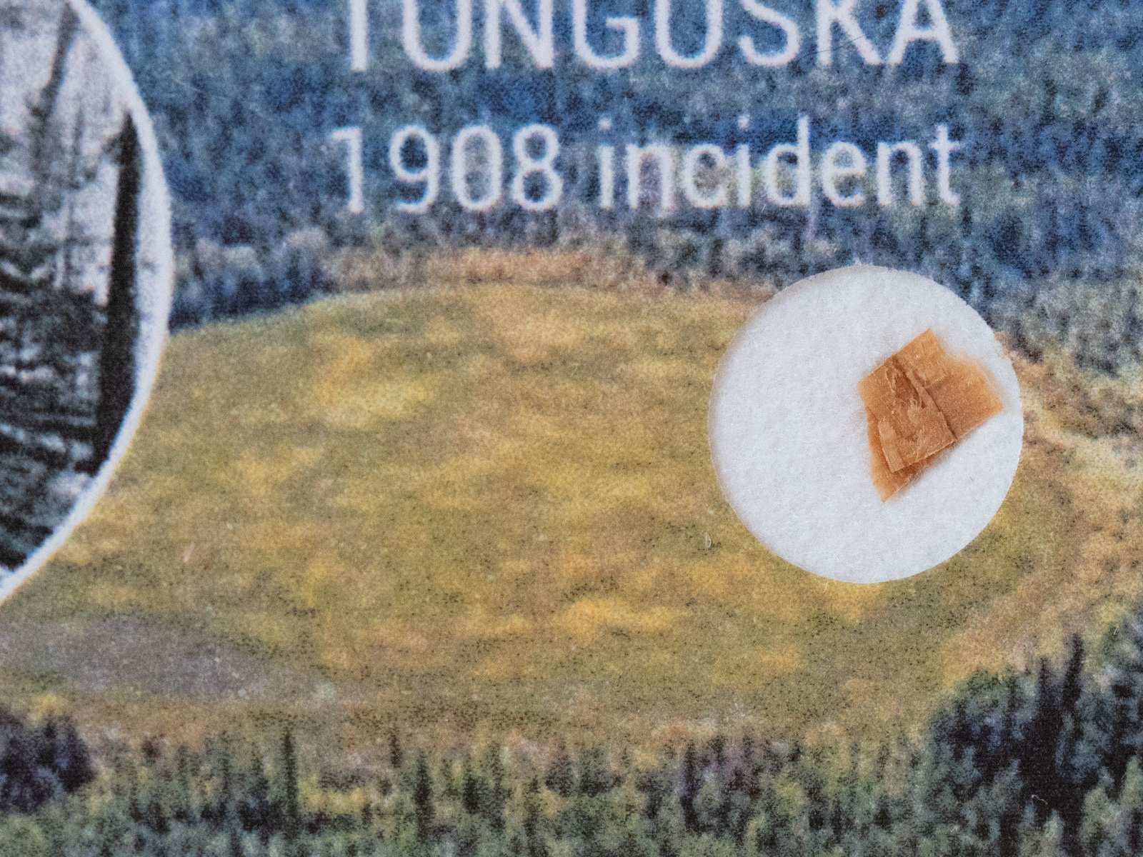 Tunguska wood fragment (nr 17) - Image 2