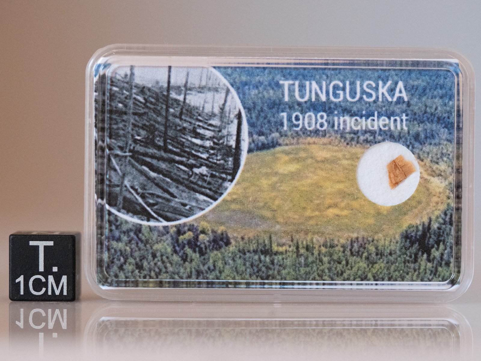 Tunguska wood fragment (nr 17)