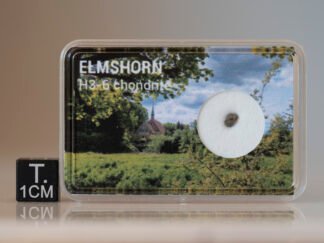 Elmshorn (H3-6) - 0.027g fragment