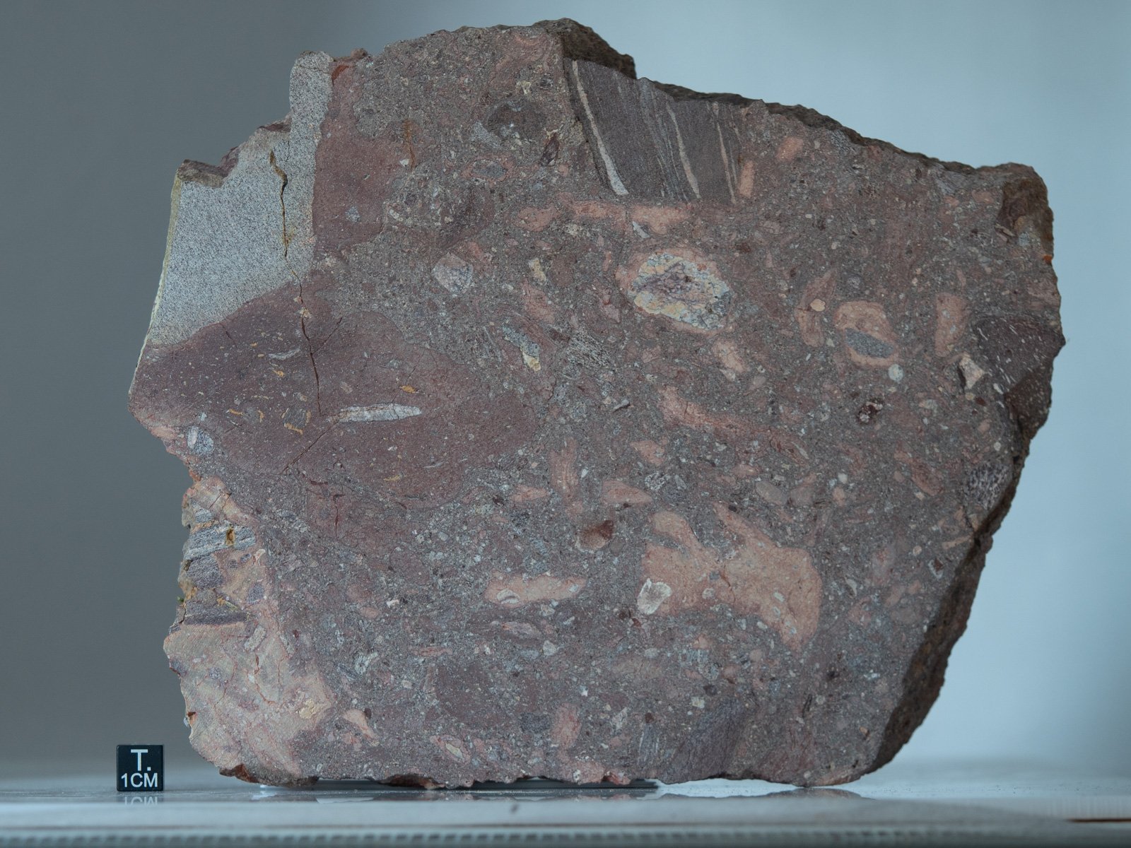 Rochechouart (impactite) - 1190g slice - Image 3