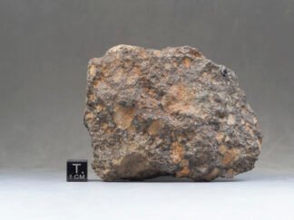 NWA 11331 (feldsp. breccia) - 246g specimen (main mass)