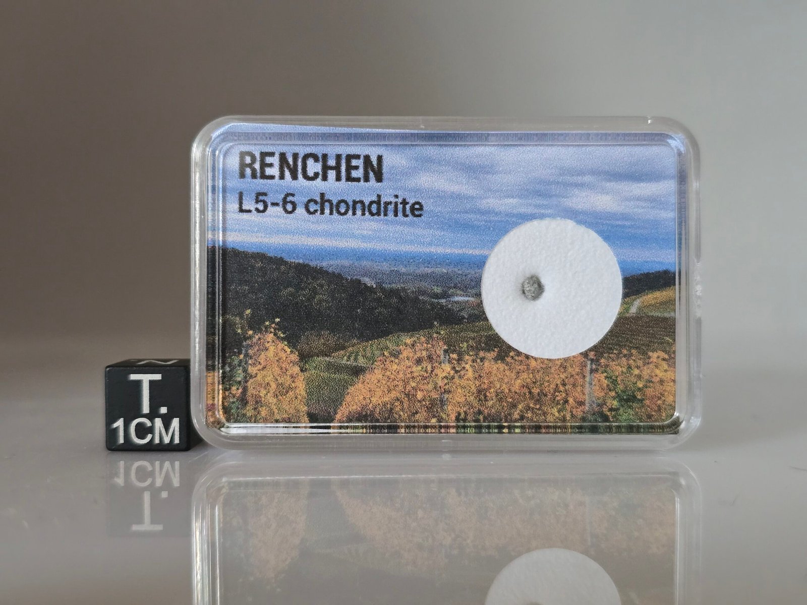 Renchen (L5-6) - fragment nr 25