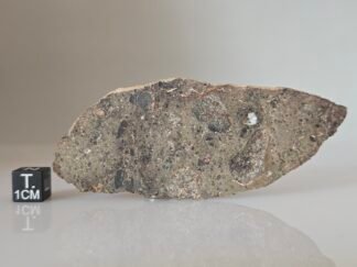 NWA 17700 (lunar, troctolite) - 16.4g slice