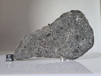 Ash Shaqqah 002 (lunar, troctolite) - 43g slice