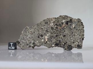 NEA 104 (Moon, troctolite) - 19.1g slice