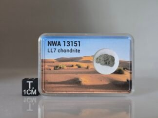 NWA 13151 (LL7) - 0.412g part slice