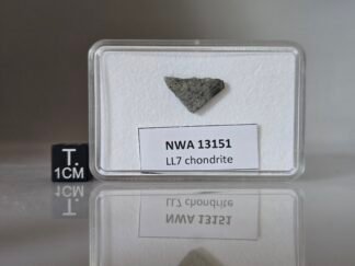 NWA 13151 (LL7) - 0.71g part slice
