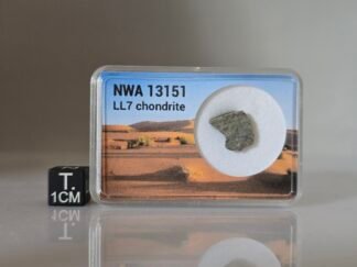 NWA 13151 (LL7) - 0.81g part slice
