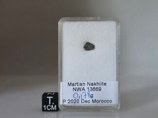 NWA 13669 (Mars, nakhlite) - 0.178g