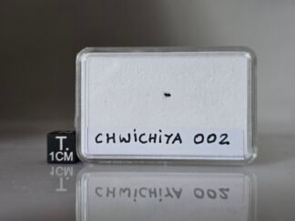 Chwichiya 002 (C3.00 ungr) - fragment