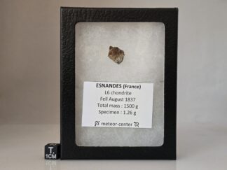 Esnandes (L6) - 1.26g fragment