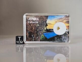 Jepara (pallasite) - fragment nr 31