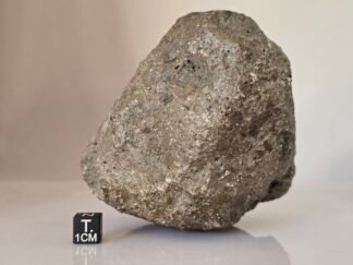 Jikharra 001 (eucrite) - 810g specimen