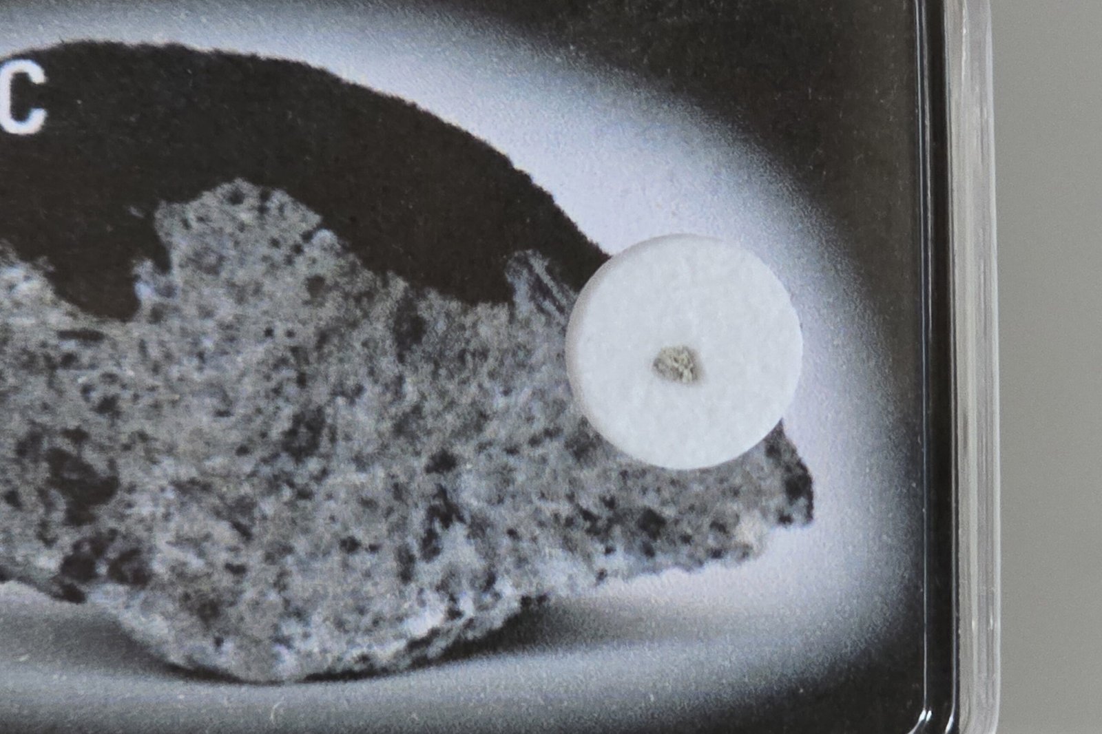 Jonzac (eucrite) - fragment nr 25 - Image 2