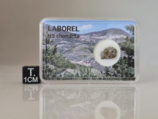 Laborel (H5) - 0.355g fragment