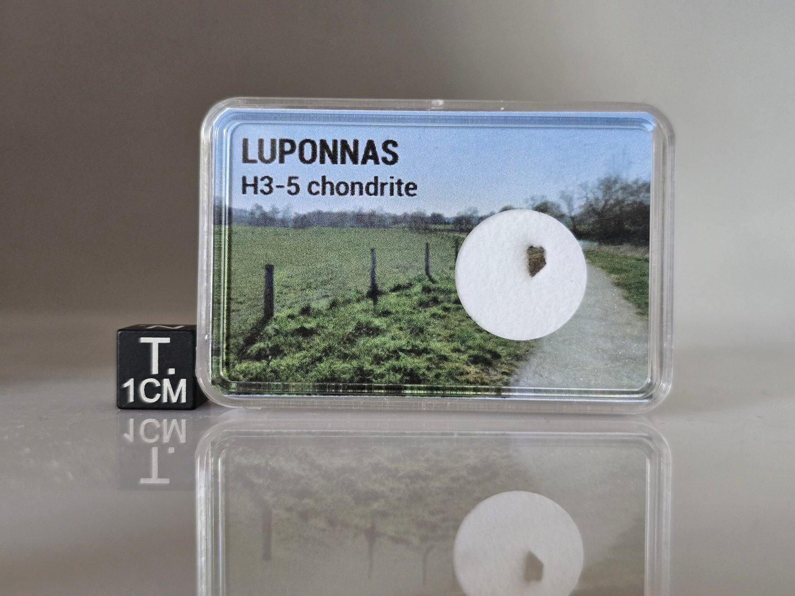 Luponnas (H3-5) - fragment nr 5